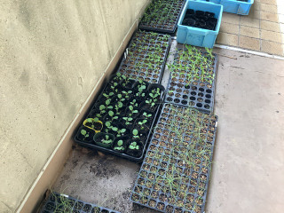 B405235088a1491bb9441905c557623d