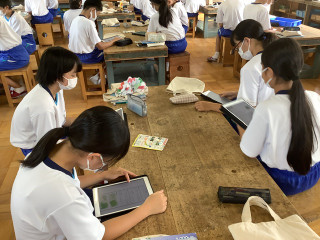 E42e76ccbfe744e19c5f747627d687bb