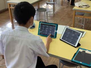 Ef083d3a3fb5450a8044e235c25a1a5b