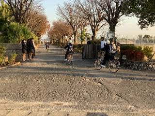 Fdb16dda01a74b0d8c7cd383789f5d16