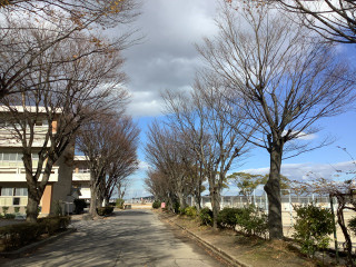 C981053be1354047a56a221ab63e87eb