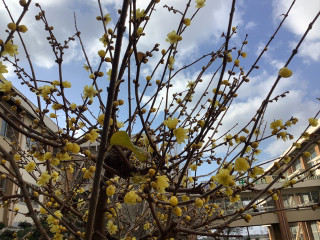 983767a9248b445b96859418069cea12