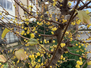 Eb125ade1c064e7f8308790f4695a24b