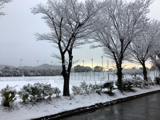 47a39c828d614720a628c2e70ec51119