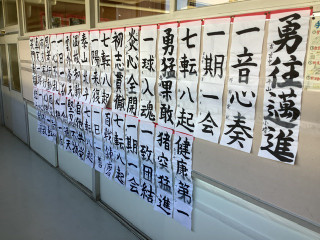 86ca3b6556794b0a89dcc619c4fb02d8