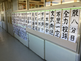 1c7cd3c58fe34ebcaf79a56db1f6e35e