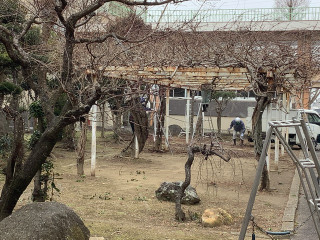 6e76ffe0ffa4479f9faf7742b8d84ba7