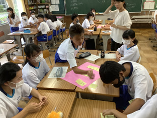 6e7d919f0e574be4863a1469fb5fc78b