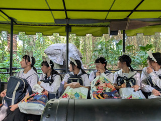 Pxl_20250528_073518870