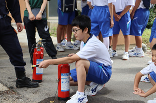 Img_7481 Img_7481