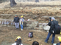 20f0b46d1846487ab57e2b523f439f37