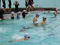 Img_2601 Img_2601