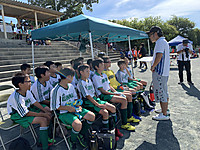 491cfd1ab2ae4a0491160a4166f312a7