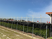 Img_0036 Img_0036