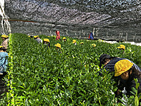 Img_0201 Img_0201