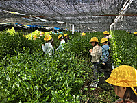 Img_0204 Img_0204
