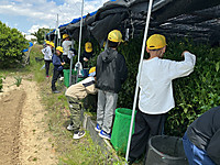 Img_0205 Img_0205