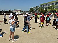 Img_0290 Img_0290