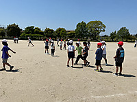 Img_0294 Img_0294