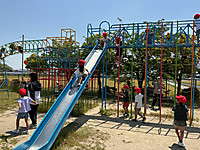 Img_0301 Img_0301