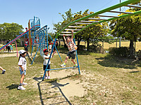 Img_0303 Img_0303