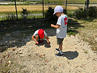 Img_0305 Img_0305