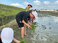 Img_0691 Img_0691