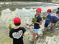 Img_0697 Img_0697