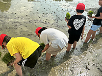 Img_0699 Img_0699