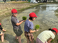 Img_0700_2 Img_0700_2