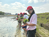Img_0701_2 Img_0701_2