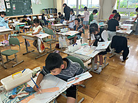 Img_0372 Img_0372