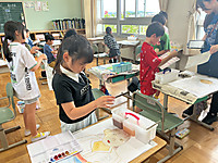 Img_0376 Img_0376
