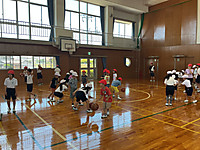 Img_0600 Img_0600