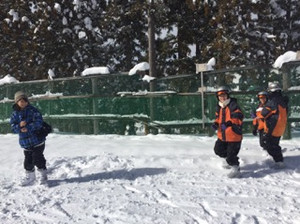 3ab9b8779ad1401e9a973e9cf888b4c5