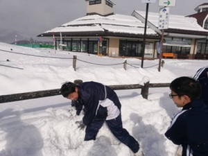 49d10bef913646ad88c4245791437316