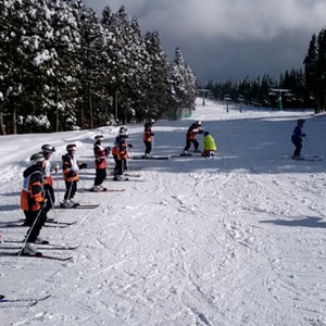 7692c85e5c23485fbf97fa4a9e049f8a