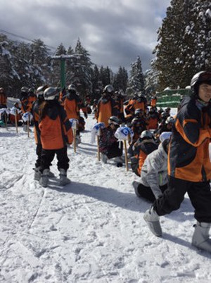 881510bb3b5f4700a53598724a411316