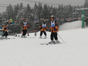 5fc91f40da8745bbbf415c57339795d8