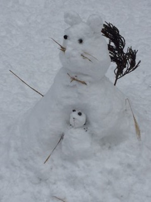 7ddcbb4dc5334e4e95aec136468234c7