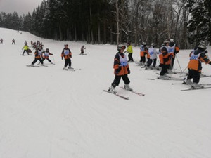 7fb1fc2889694dfa8f6e53065f0fc747