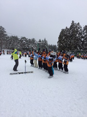 Bafc423fb6564c3c938574ee1a7830ff