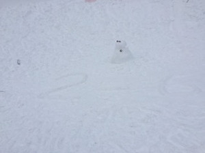 Bdfa754580a146f2bd4601abd80e7ec0