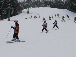 C01e4c58486143e199d5929c015feeaa