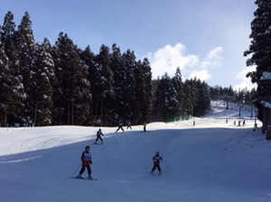 00fe61ce95d5453aaf17ad376f112c21