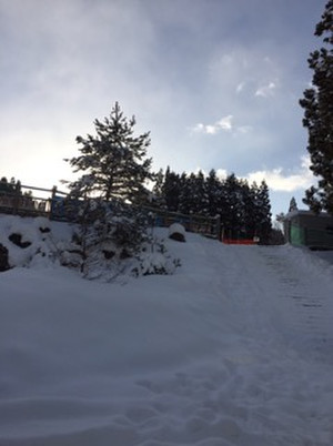 73ae5cc9bb5a4566b58a867e598ed922