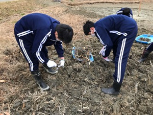 99698126463c48b38aeb3ddbdba521c8