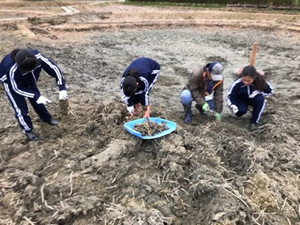 Fc111b7f95e64882b0977534305c0c65