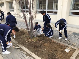 F086da9e88154c3d94e650a1279ed752 F086da9e88154c3d94e650a1279ed752