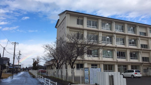 98877a5d2cc645a78d68d8fde29fe017